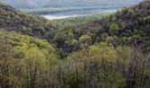 The beautiful view from the deck at Hickory Ridge Bed, Breakfast and Bridle.